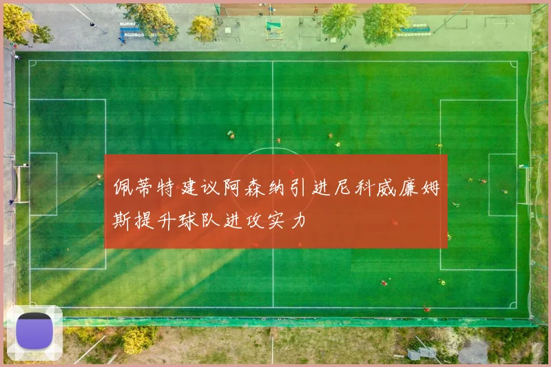 佩蒂特建议阿森纳引进尼科威廉姆斯提升球队进攻实力