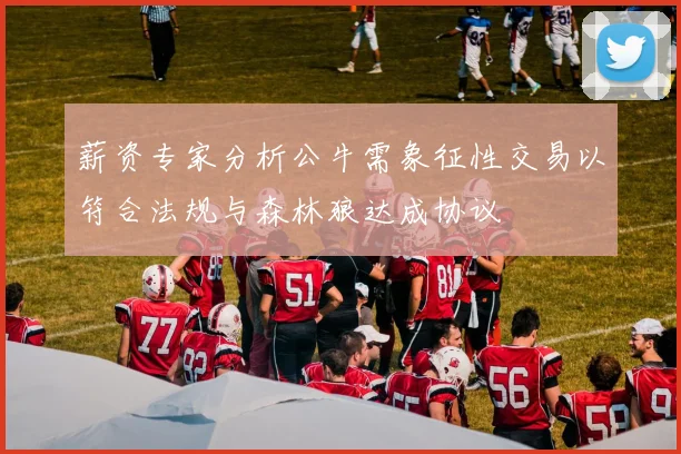 薪资专家分析公牛需象征性交易以符合法规与森林狼达成协议